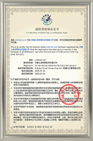 国际顶级域名证书